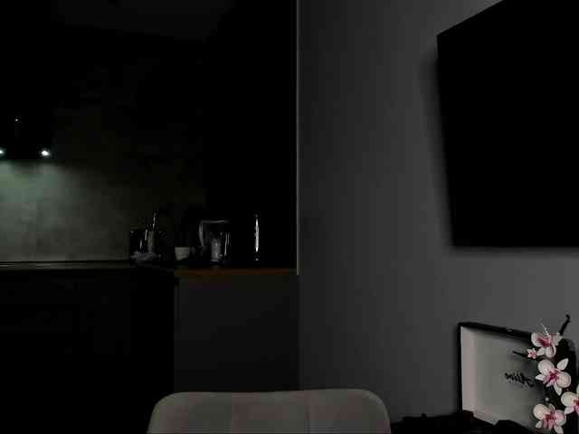 Sunlovv webcam