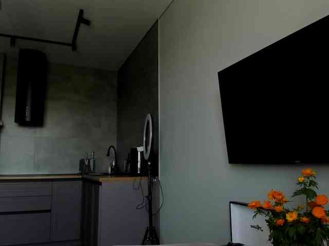 Sunlovv webcam