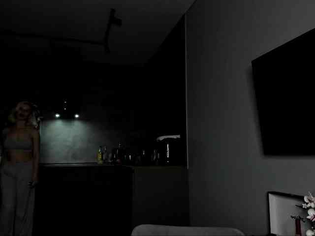 Sunlovv webcam