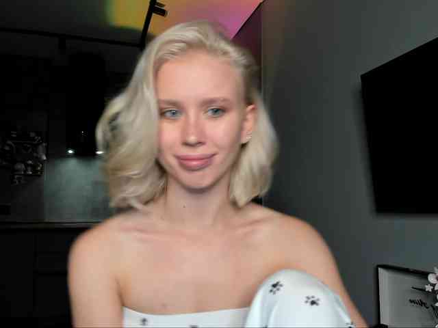 Sunlovv webcam