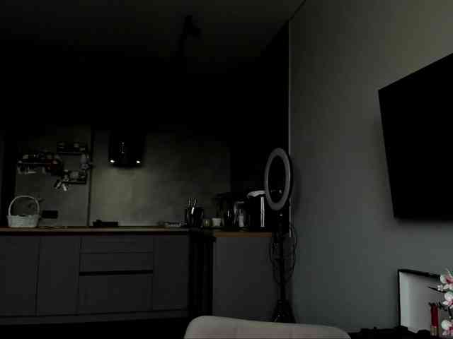 Sunlovv webcam