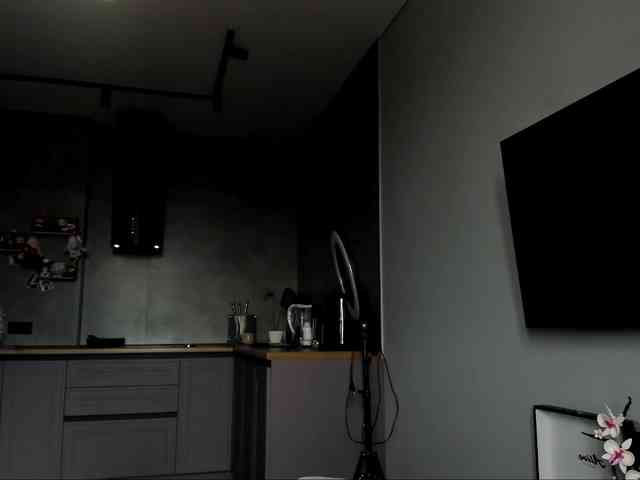 Sunlovv webcam