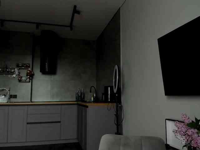 Sunlovv webcam