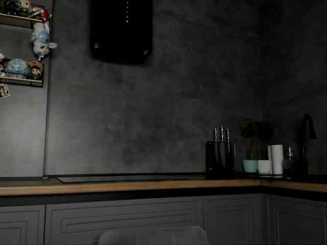 Sunlovv webcam