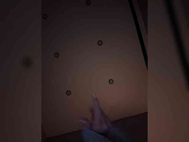Sunlovv webcam
