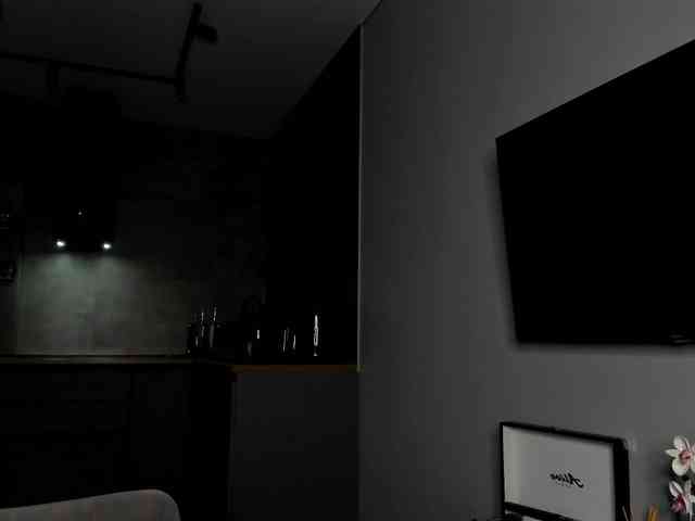 Sunlovv webcam
