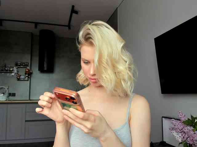 Sunlovv webcam
