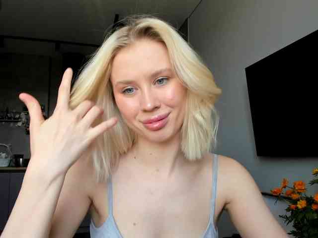 Sunlovv webcam
