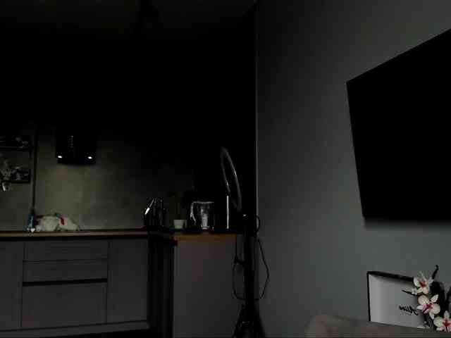 Sunlovv webcam