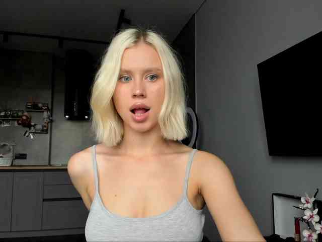Sunlovv webcam