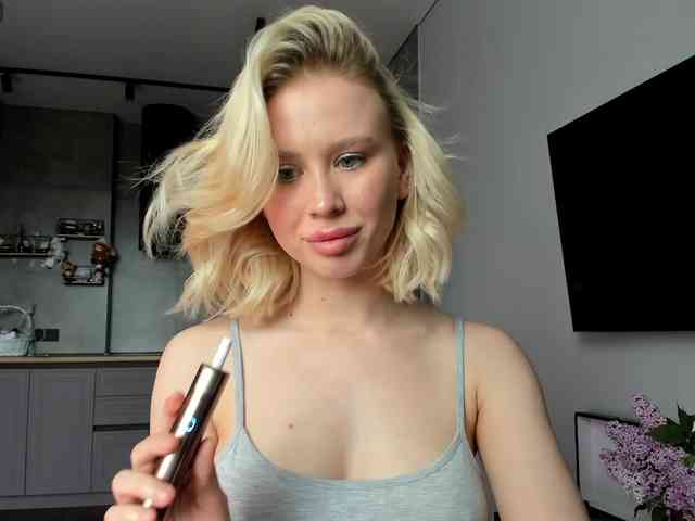 Sunlovv webcam