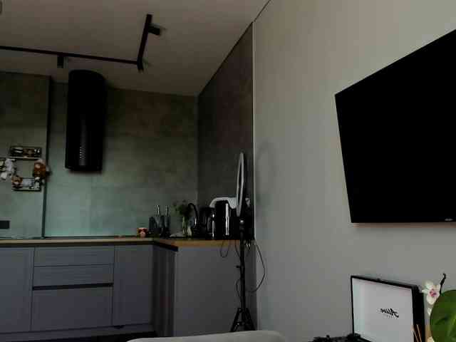 Sunlovv webcam