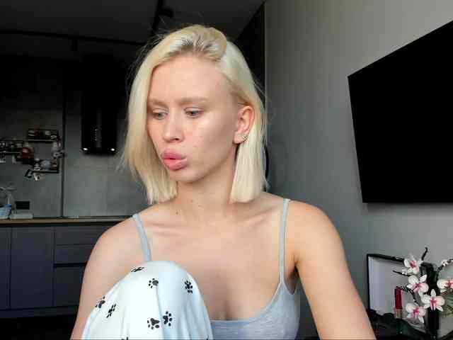 Sunlovv webcam