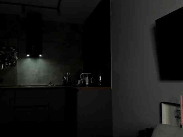 Sunlovv webcam