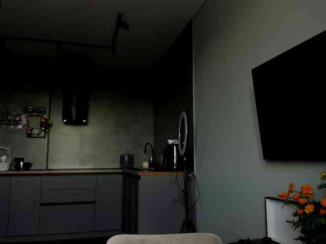 Sunlovv webcam