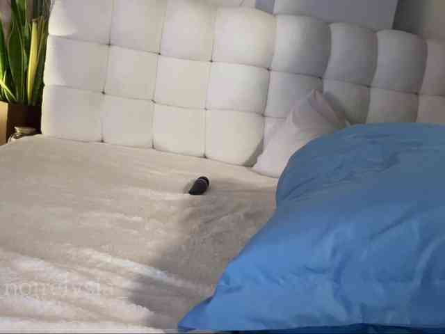 NoirElysia webcam