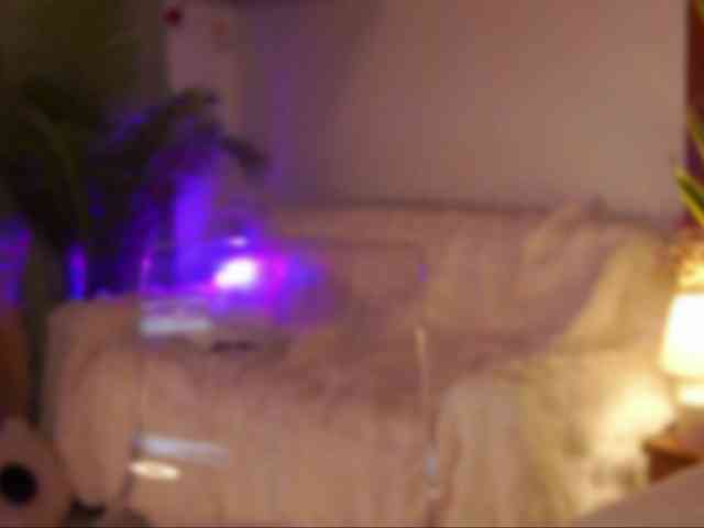 NoirElysia webcam