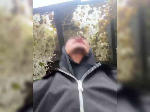 Dikii-vano