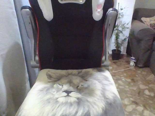 Kitty21