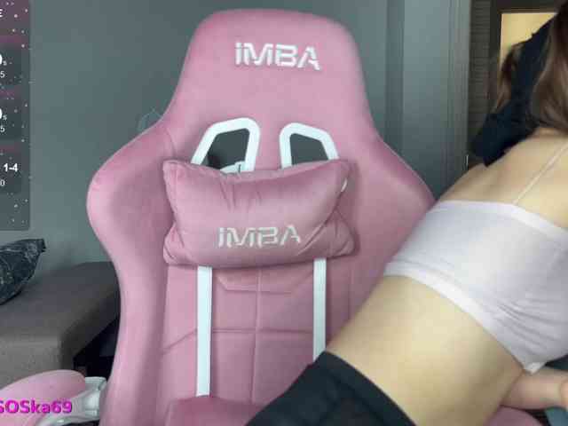 Модель: PoliSOSka