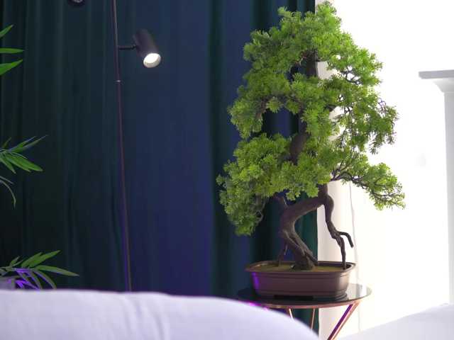 ArtTeasee