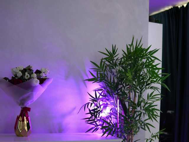 ArtTeasee