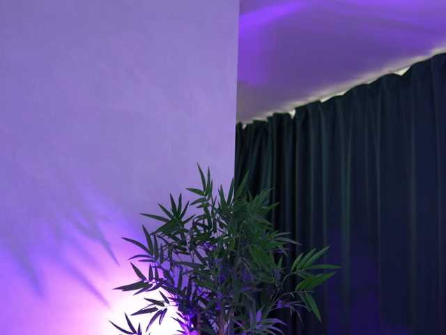 ArtTeasee