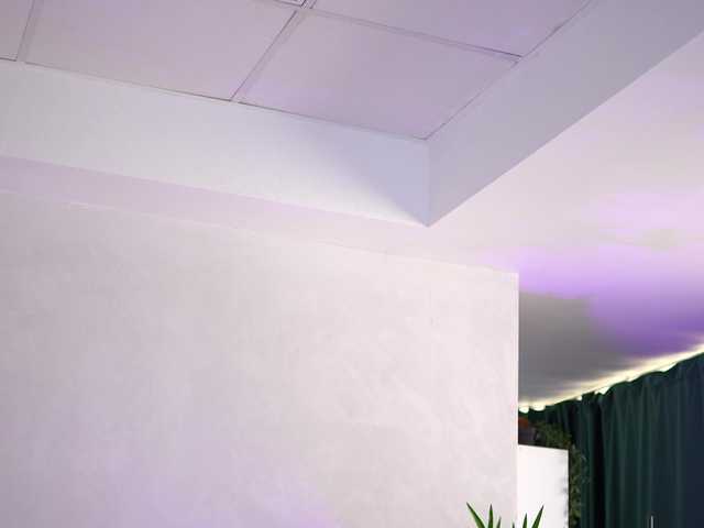ArtTeasee