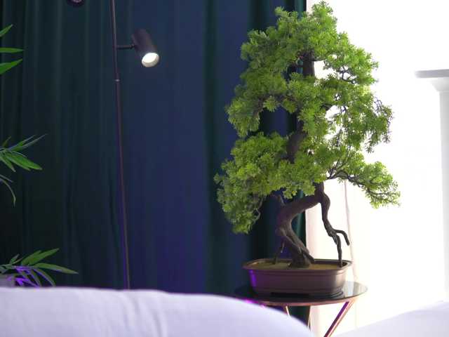 ArtTeasee