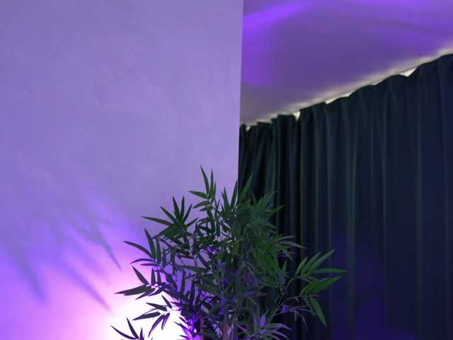 ArtTeasee