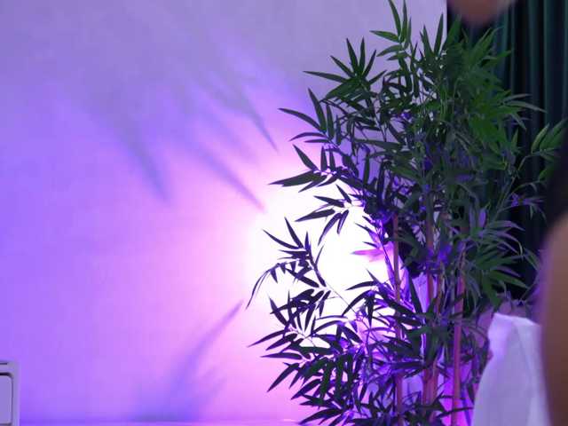 Artteasee live cam