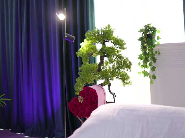 ArtTeasee live cam and statistics on UnifiedCams