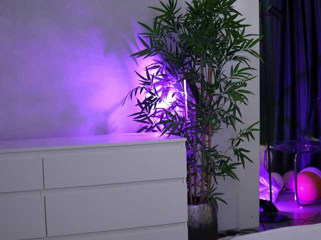 artteasee online