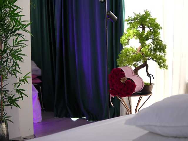ArtTeasee