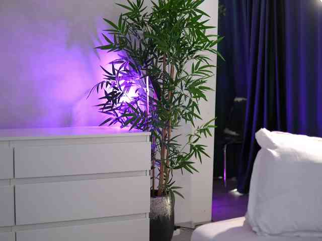 ArtTeasee
