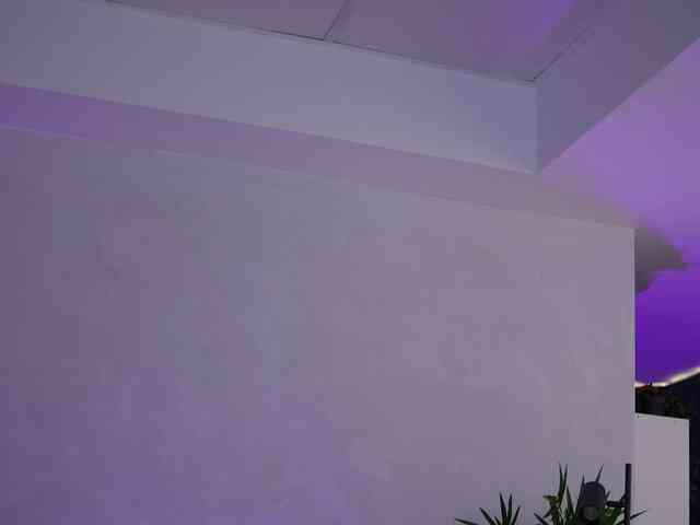 ArtTeasee