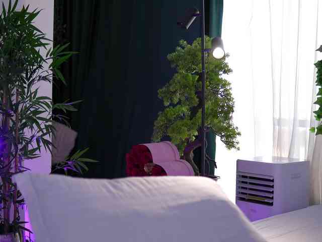 ArtTeasee webcam