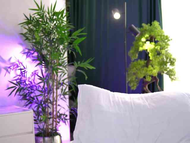 ArtTeasee