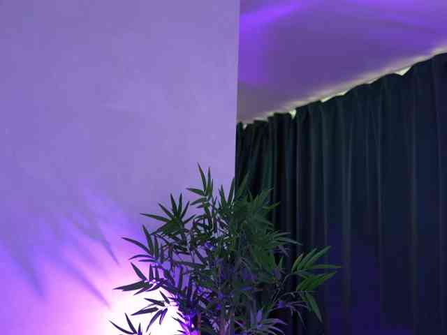 ArtTeasee