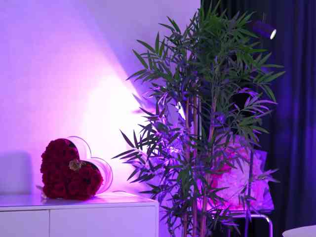 ArtTeasee