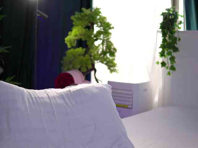 ArtTeasee