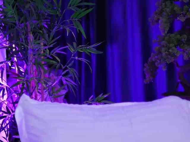ArtTeasee's webcam live show