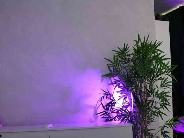 ArtTeasee