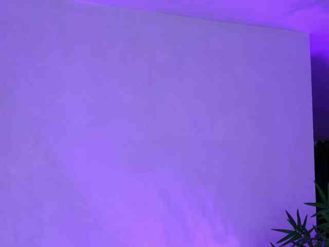 ArtTeasee's webcam live show