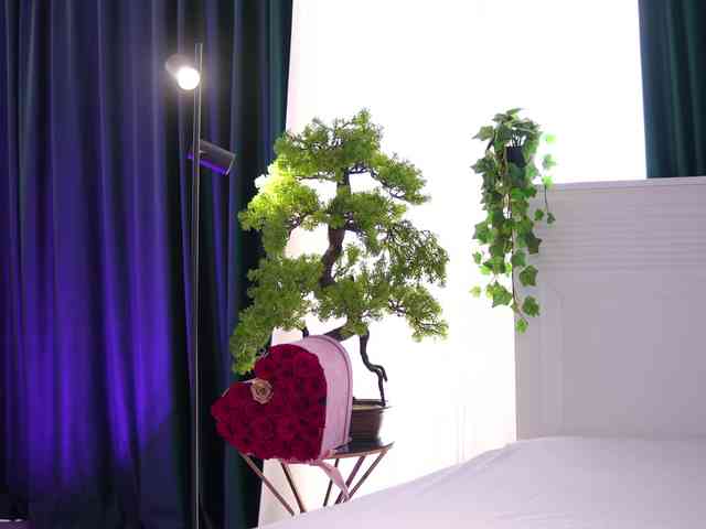 ArtTeasee Live Webcam on BongaCams