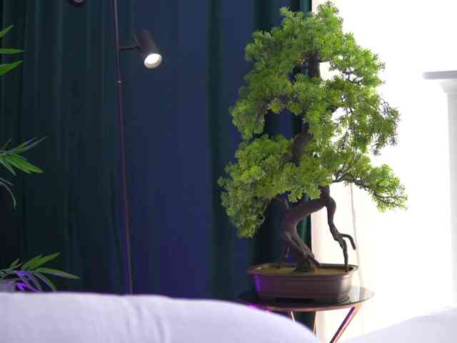ArtTeasee
