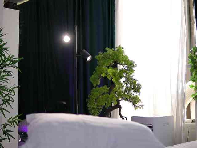 ArtTeasee