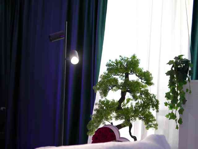 ArtTeasee