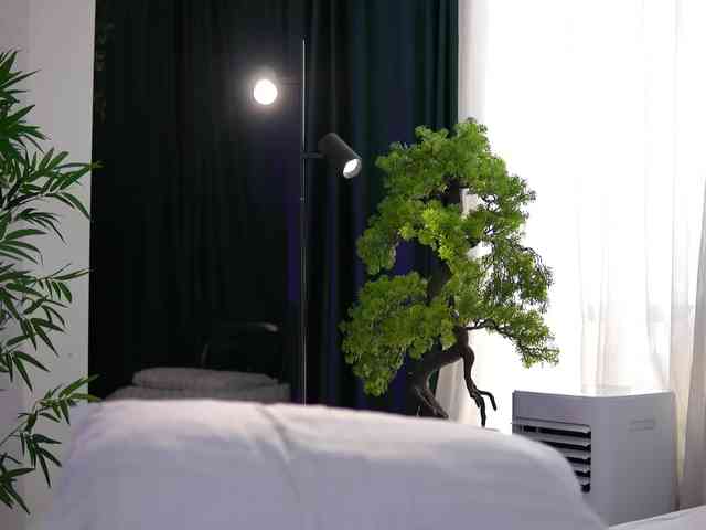 ArtTeasee webcam