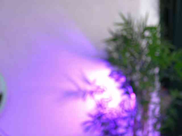 ArtTeasee